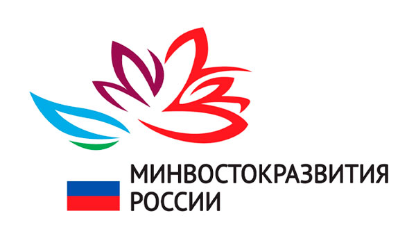 Установлены электронные форматы документов, подтверждающих статус резидента ТОР и свободного порта Владивосток
