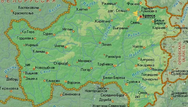 ВСУ обстреляли таможенный пост в Брянской области