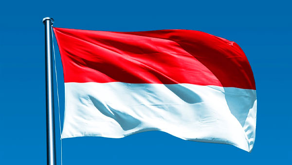 ЕАЭС и Индонезия провели третий раунд переговоров по cоглашению о ЗСТ